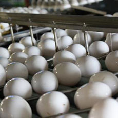 津沢産業株式会社